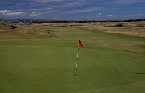 western gailes 11th green