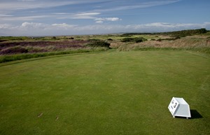 western gailes 3rd tee