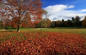 Lansdowne1