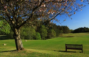Blairgowrie 059 001