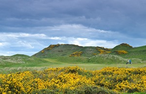 cruden bay
