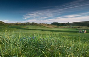 Cruden Bay 6 approach RHS flowers 1 4164