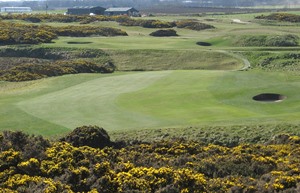 15th Hole Landscape Field