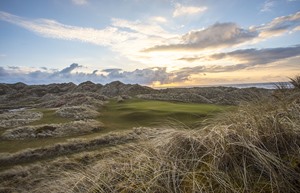 14 green