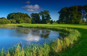 galgorm castle 8th approach pond