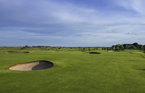 county louth 1 1 