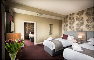 Deluxe Room high res