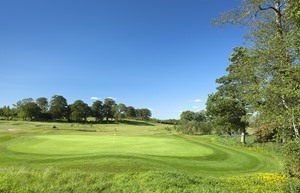 meldrum golf 5
