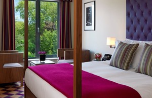 deluxe guestroom copy 1