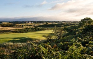 island 11th green