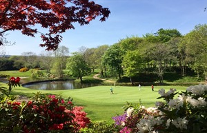 Druids Glen 8th hole