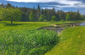 Druids Glen 17 green LHS