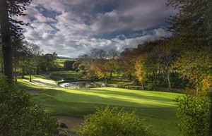 Druids Glen 8 green to tee 1 7296