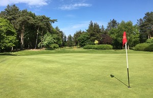 Druids Glen 2 flag to tee