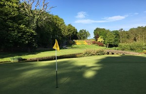 Druids Glen 12 flag to tee