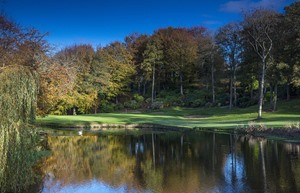 Druids Glen 8 swan 3 7392