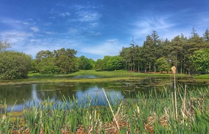 Druids Glen 15 approach