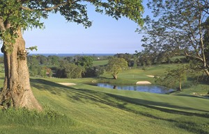 Druids Heath View from the 13th