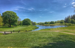 Druids Glen 17