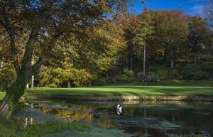 Druids Glen 8 green approach LHS 2 7403