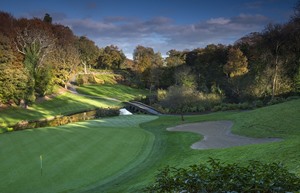 Druids Glen 12 green to tee 3 7346