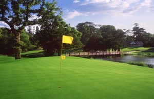 O Meara 16 Flag
