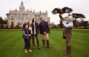 falconry 4 1 1920x1200