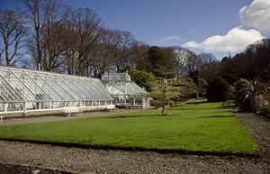 glenapp castle glasshouses