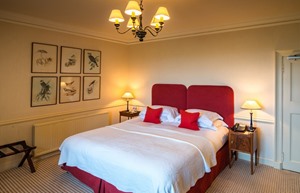 accommodation7