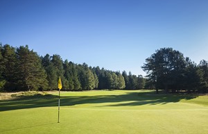 Ladybank 3