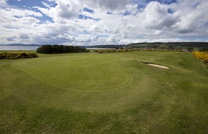 10 Green