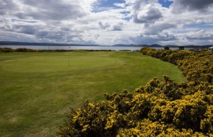 JP 9Hole