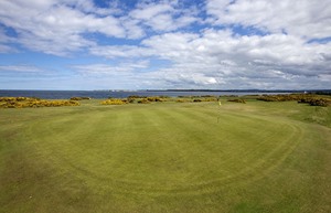 13th green 1 