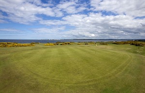 13th green