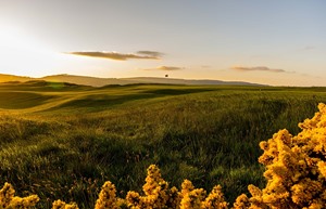 4th Green 2016 1 