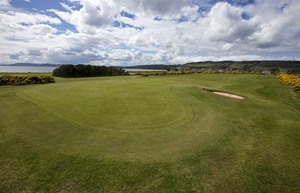 10 Green 1 
