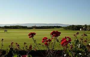 Looking Back down the 18th Hole