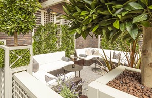 Terrace 5 copy