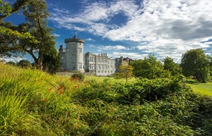 Castle from the shrubs