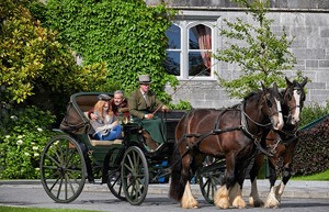 Carriage ride 3