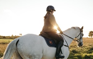 Equestrian
