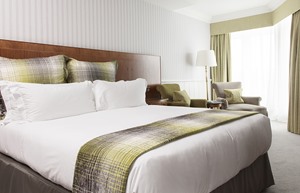 Eden room 1