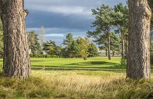 191020 VSFG Scotscraig G004