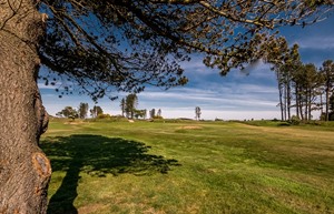 monifieth ashludie 2