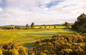 monifieth medal course