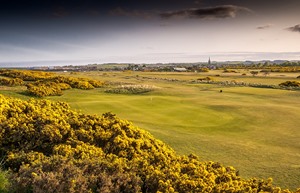 montrose links 3