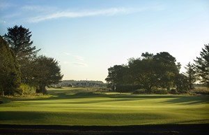 panmure 16th