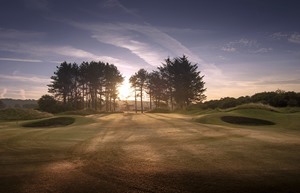 barassie links