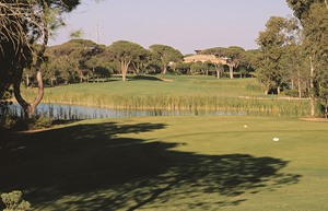Resized Faldo 5