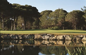 Resized Faldo7